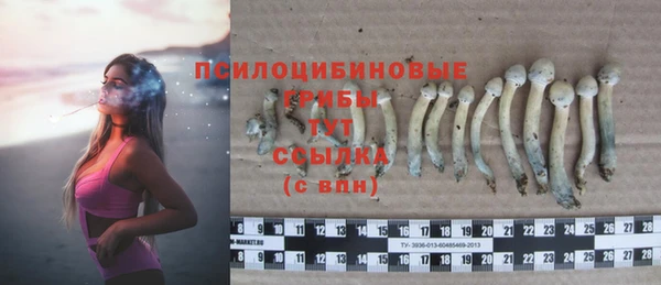 винт Михайлов