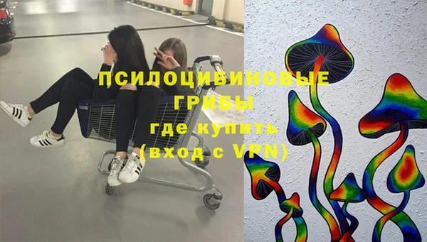 дживик Михайловск