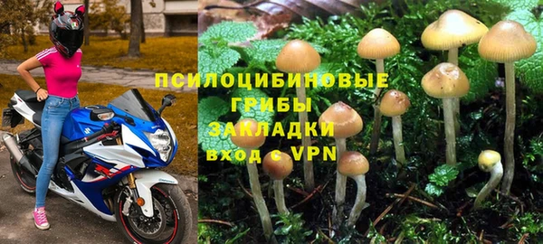 дживик Михайловск